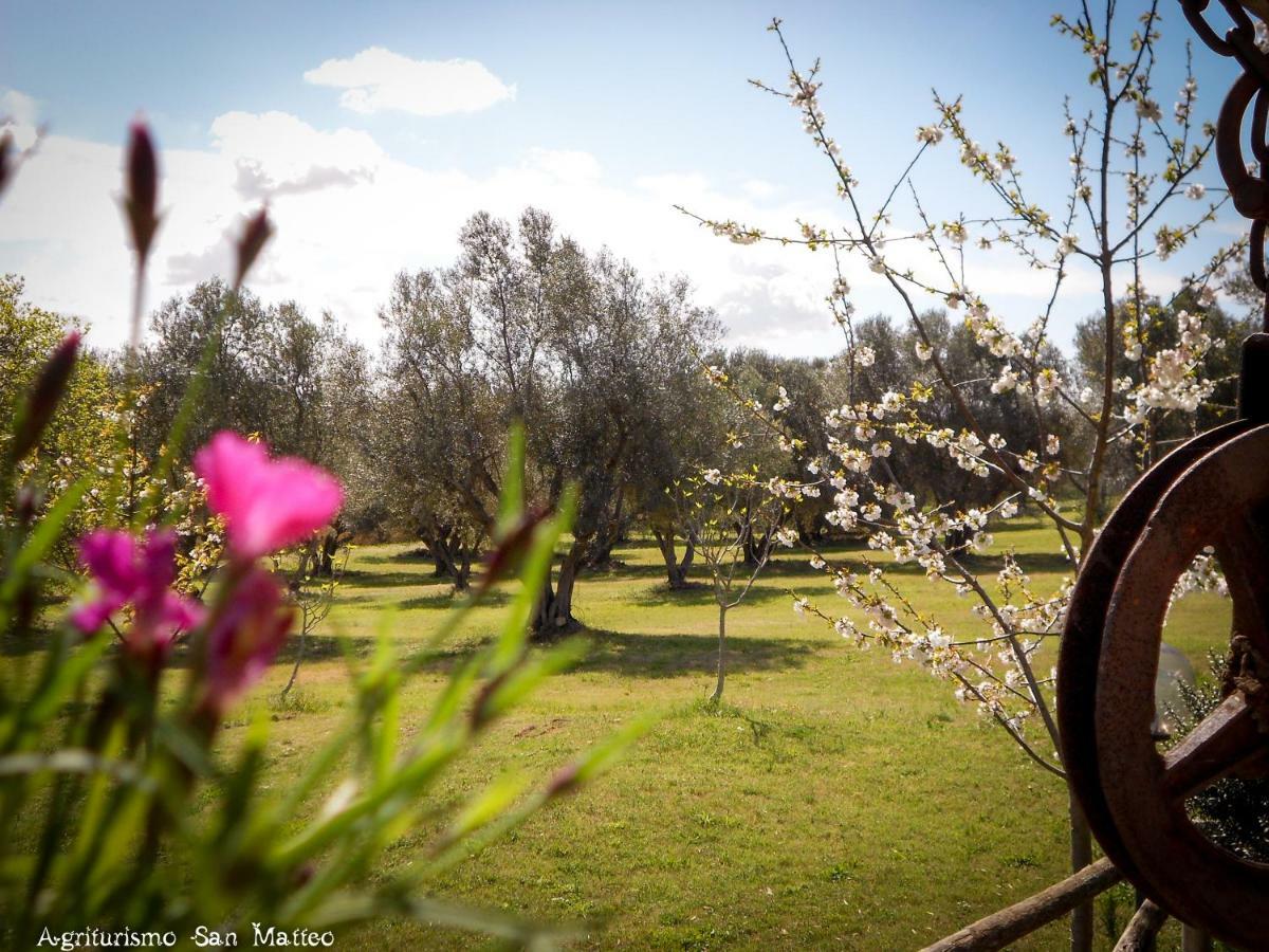 Agriturismo San Matteo Tarquinia Exterior photo